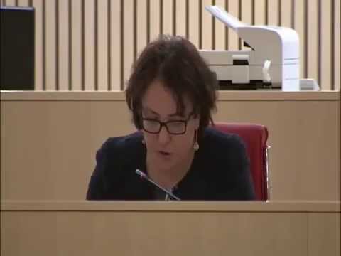 თინათინ ხიდაშელის გამოსვლა პარლამენტში დროებითი საგამოძიებო კომისიის შექმნასთან დაკავშირებით