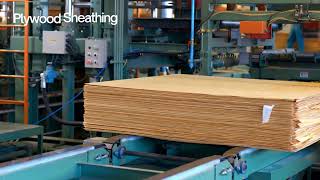 Plywood Sheathing Manufacturing Plant Project Report