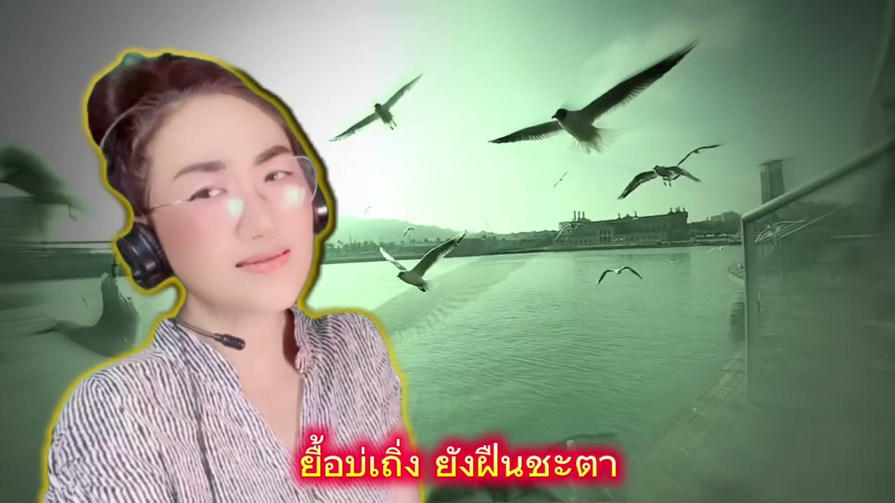 เพลง เป็นได้แค่ไม้กันหมา#duet #duet #เนื้อเพลง 