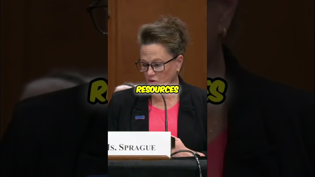 The dark side of steward's ownership revealed