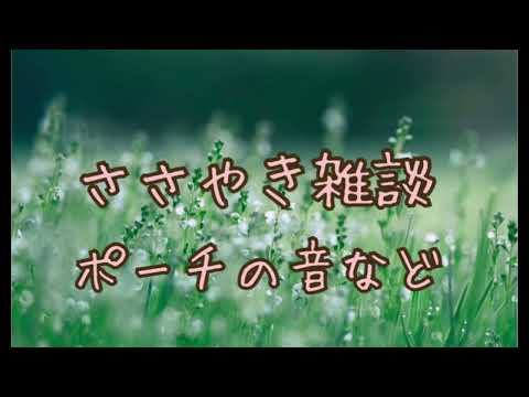 【ASMR】耳元でポーチの音を出しながら囁き雑談【音フェチ】