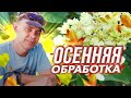 ПОСЛЕ ЭТОЙ ОСЕННЕЙ ОБРАБОТКИ ГОРТЕНЗИИ НЕ ВЫМЕРЗАЮТ И НЕ ЛОМАЮТСЯ ОТ ДОЖДЯ И ВЕТРА