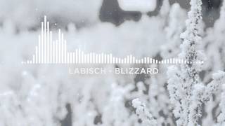Video thumbnail of "Labisch - Blizzard (Chill)"