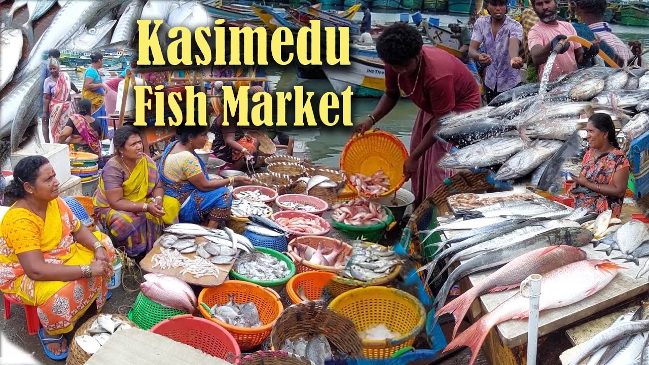 Bustling Fish market, Kasimedu, Chennai, Daily life 