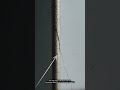 Why Ceramic Capacitors Crack at 120 Hz: Piezoelectric Self-Stress