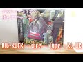 限りなくリアルに近いという魅力、そして王様の余裕にしてやられました。【ドラマCD】【DIG-ROCK ―dice― Type:RL&times;HR】