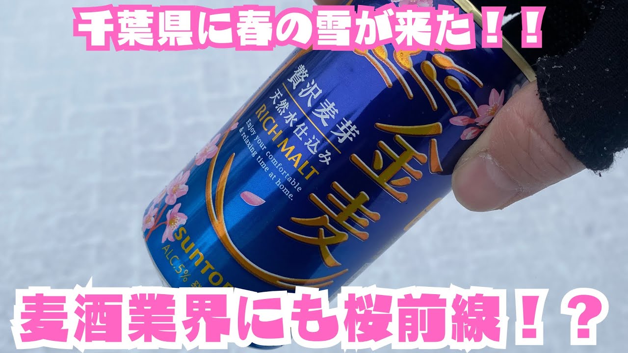 千葉と雪と春の味金麦