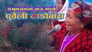 Sankhuwasabha जिल्लामा मात्र गाइने एउटा गीत पुर्वेली ठाडोबास ।  Tadhobas Thadobhaka