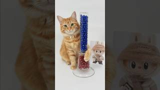🍓🦋reverse #reverse #asmr #satisfying #beads #slime
