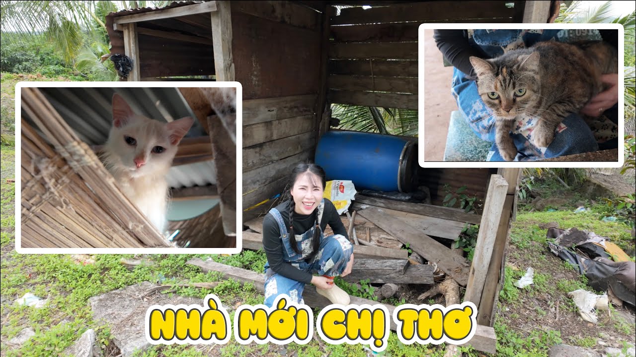 Về Quê Thăm Nhà Mới Chị Thơ, Nhưng Điều Anh Chú Ý Là Chị Thơ Có Em Bé Mèo Mới