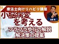 小脳病変について考えて見る　第9回　「フラフラ歩行について解説と解決策の提案」
