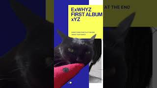 【#ExWHYZ】見逃さにゃいで @youtube #Shorts #猫好きさんと繋がりたい