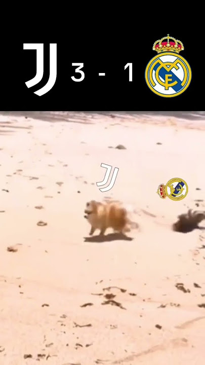 BIG win against Real Madrid 🔥🤍🖤