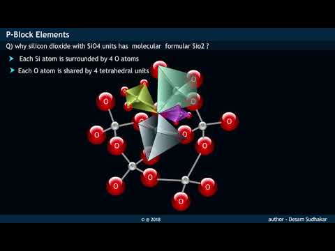 Video: Verschil Tussen Meiose I En Meiose II