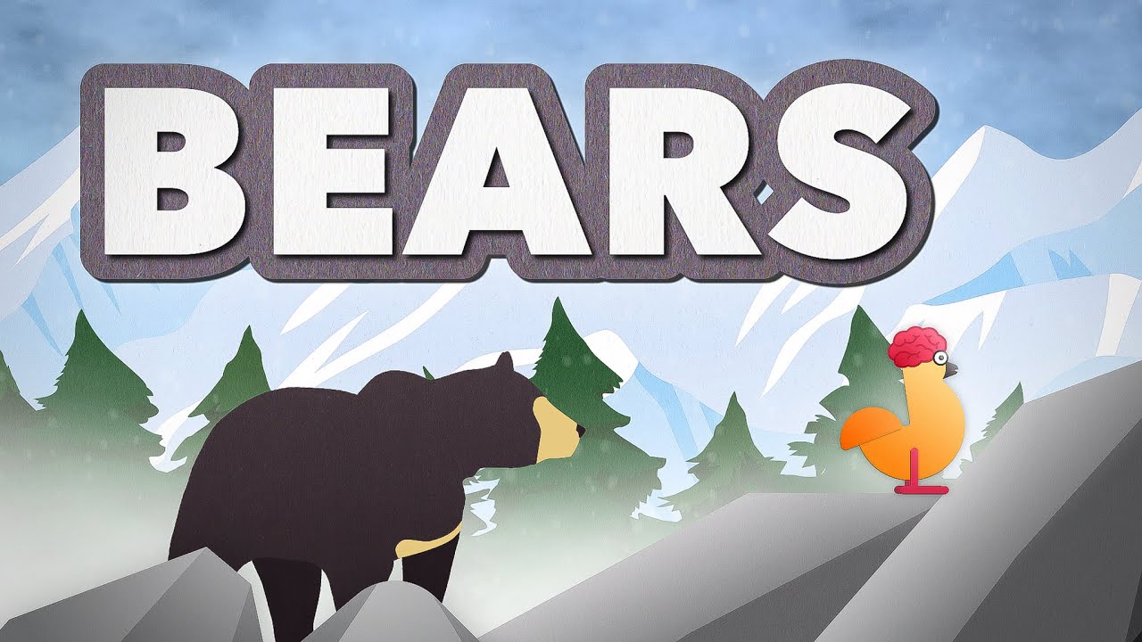 Meet the 8 Species of Bear in the World