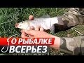 За Карасем: ловим с берега на малой реке. "О Рыбалке Всерьез" видео 103