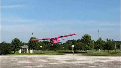 E-Flite Apprentice - Flamingo Airlines