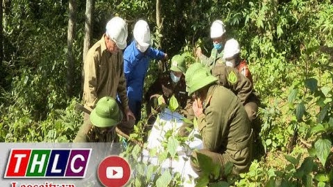 Chủ động phòng chống cháy rừng mùa hanh khô | THLC