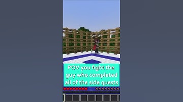 POV: You fight the guy who completed all of the side quests