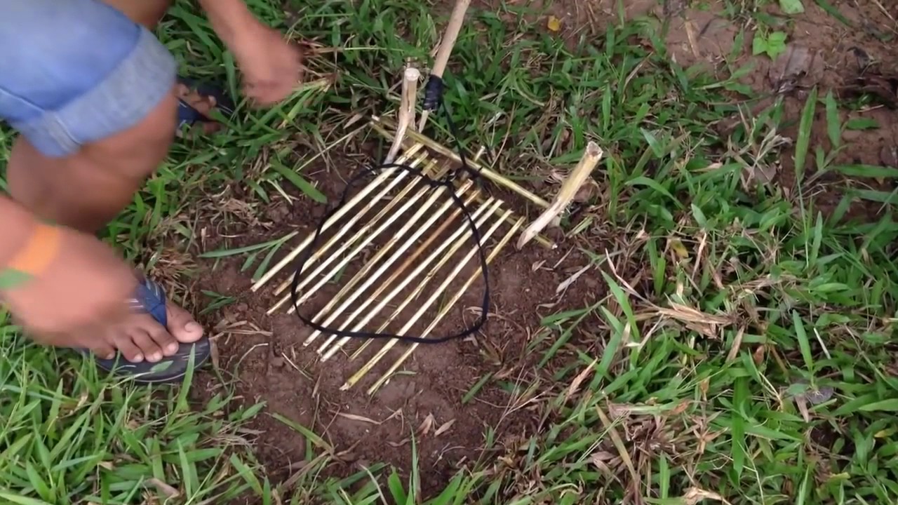 The Best Bird Trap Easy Best Bird Traps (That Work 100%) Amazing Quick Bird Trap In My Vil