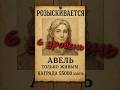 D&amp;D: 6ой уровень  #днд #днддляновичков #dnd5e #dndshorts #дндмем