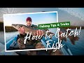 Surprising Fish Catching Tips &amp; Tricks for Beginners - Hook Fishing Videos