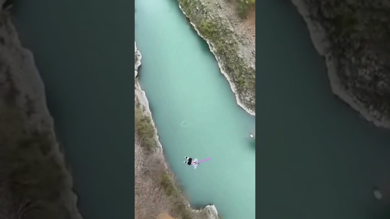 Bungee Cord SNAPPED?! 😱 Comical Fall into the River! 