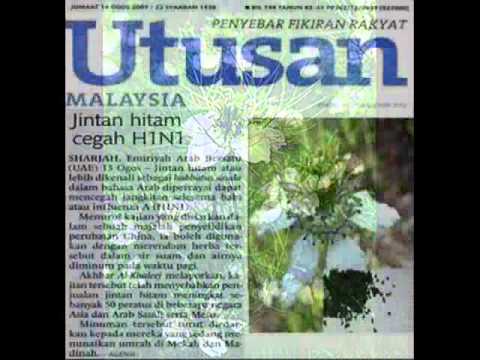 habbatussauda-ubat-mujarab