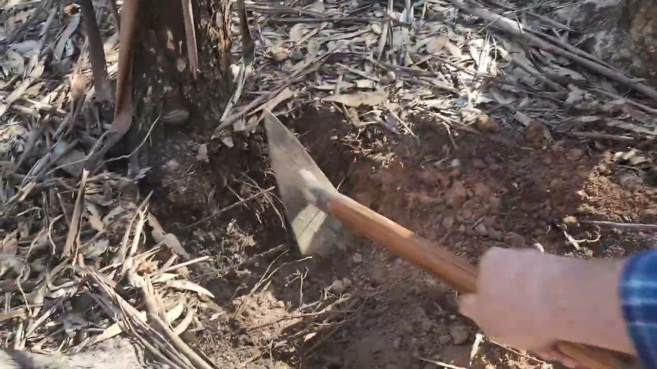 18 gm Gold Nugget. Minelab GPZ 7000. July 2025.  Victoria Golden Triangle.