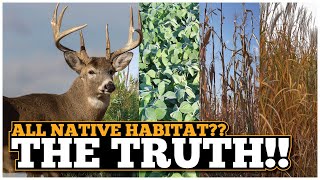 All native habitat for whitetail deer? The Truth!