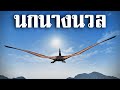 นกนางนวล ? (เทอโรแดคทิลลัส) vs เเทบทุกตัวในเกม  - [สัตว์โลกยอมเป็นไปตามกรรม] - BBS