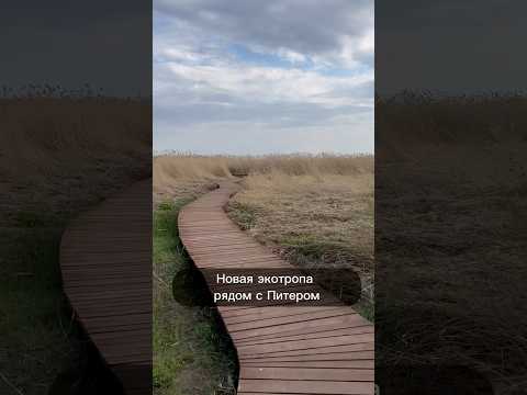 Video: Zelené oblasti Petrohradu: Piskarevsky park