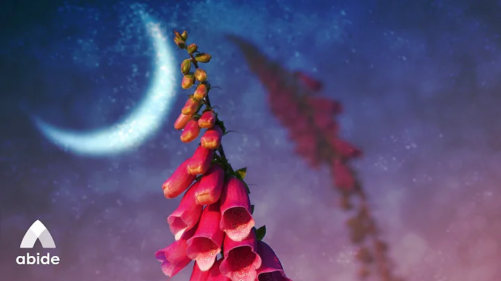 Let Go: Jesus Take the Reins | Bible Sleep Meditation To Let Go of Fear, Anxiety & Stress Before Bed