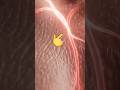 Human body is Mind-Blowing #bloodvessels