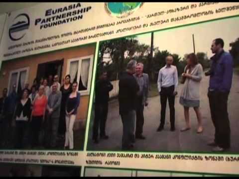 სამოქალაქო აქტივობა