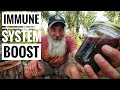 Making Elderberry Tincture | Learning is Half the Fun!