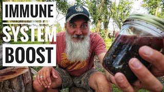 Making Elderberry Tincture | Learning is Half the Fun!