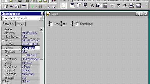 22  Компоненты CheckBox и RadioButton