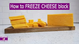 How to FREEZE CHEESE block( Slices, Cubes, stickers)