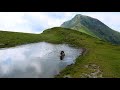 Cu oile și câinii ciobănești pe vârf de MUNTE | Mâncăruri ciobănești - video 2020