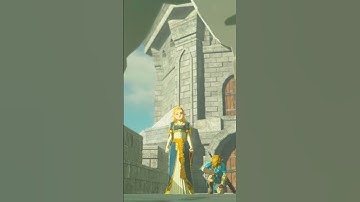 Saddest Breath of the Wild Detail #shorts