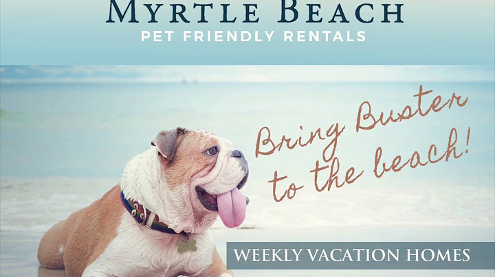 Oceanfront pet friendly hotels in north myrtle beach