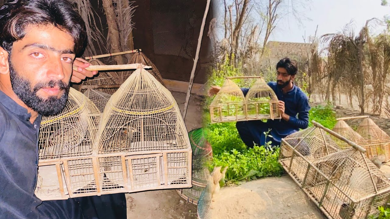 Aaj Bahut Der Hogai Teetar Pakar Ny Mein