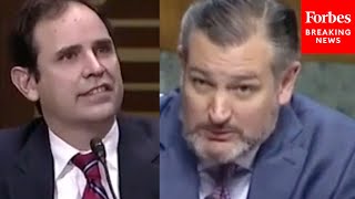 'Did You Know What You Were Doing?': Ted Cruz Grills Judicial Nominee Over His Record