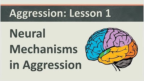 Aggression: Lesson 1 - Neural Mechanisms in Aggression