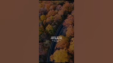 القارئ: يوسف كالو