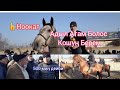 Ноокат Жылкы Базары Укмуш Кызыды Сындуу Аттар Көп