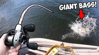 Fishing MICRO BAITS in a MONSTER BASS pond