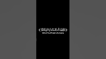 قرآن كريم تلاوة من سورة آل عمران القارئ خالد الحوسني