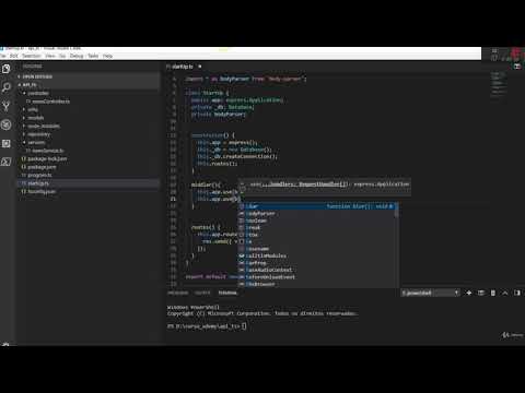 body parser